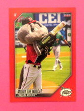 2022 Choice, Carolina Mudcats, Mascot - MUDDY THE MUDCAT