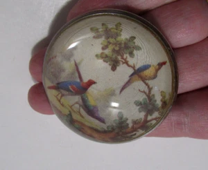 Antique Glass Paperweight Bird Art Fitzwilliam Museum/Nigel Pain Product England - Picture 1 of 22