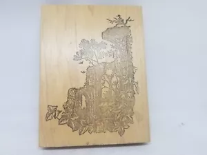 "Selva ruinas antiguas sello de goma montado en madera sin marca 4"" x 5,5" - Imagen 1 de 2