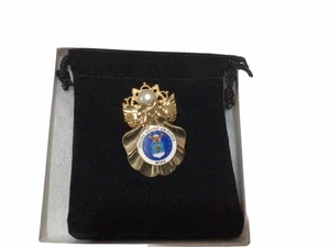 United States Air Force (Wife) Gold Colored Brooch Pin Medal Military - Picture 1 of 2