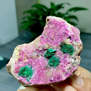 136G Natural Cobalto Calcite graininess Crystal Mineral specimen Healing-Congo - Picture 1 of 24