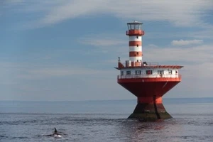 LIGHTHOUSE *2X3 FRIDGE MAGNET* BEACON SHORE SAFETY COAST DANGER LIGHT NAVIGATION - Picture 1 of 2