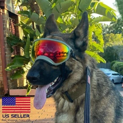 Dog Goggle Anti-UV Sunglasses Eyewear Protection Adjustable Windproof For Travel - Image 1 of 4
