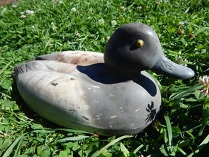 VTG U.S.A Made HERTER'S Bluebill Hen Female Duck Decoy Cottage Cabin Art (TF834) - Picture 1 of 11