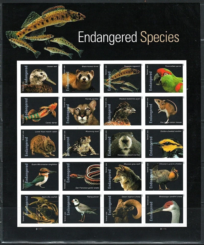 Mint US Endangered Species Pane of 20 Forever Stamps Scott# 5799 (MNH) - Image 1 of 1