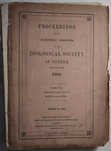 PROCEEDINGS OF THE ZOOLOGICAL SOCIETY OF LONDON 1889 Pt 2. ZSL. Wildlife - Picture 1 of 8