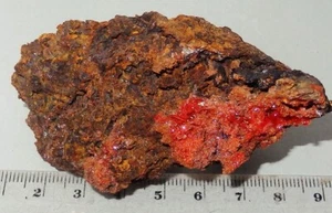 Crocoite - Red Lead Mine, Tasmania Mineral specimen 80x40mm 97g #3402 - Picture 1 of 4