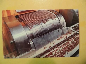 Hershey Foods Chocolate Plant Hershey Pennsylvania postcard Hershey Kisses - Picture 1 of 2