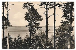 Postal Wolzig lago Wolziger 1963 postal - Imagen 1 de 2