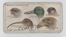 1922 Wills Do You Know Tobacco Birds' Beaks #7 0a1