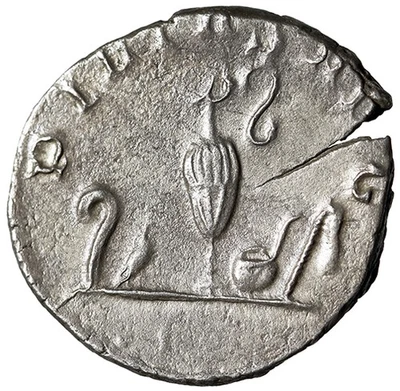 Saloninus AR Antoninianus "Implementos sacerdotales" extremadamente finos Foto 1 de 4