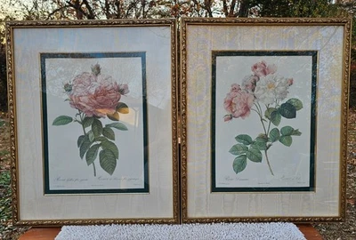 De colección P.J. Par de arte botánico enmarcado Redouté Bombay "La rosa y rosa Damascena" Foto 1 de 4