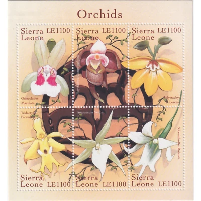 Sierra Leona 2000 Orquídeas del Mundo Como Nuevo - Como Nuevo/Nuevo Foto 1 de 2