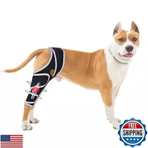 Dog Knee Brace for Torn Acl Hind Leg - Relieves Ligament Injury and Joint Pai - Picture 1 of 5