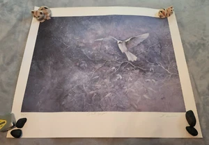 Mary Titus nummerierter und signierter Limited Edition Print "Silent Flight" 2/400 - Bild 1 von 10