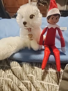 Elf Pets Arctic Fox Plush Elf On The Shelf White Snow Globe Toy & ELF - Picture 1 of 4