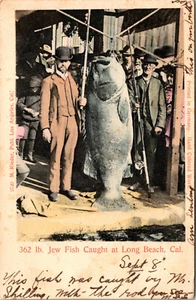 ALTE POSTKARTE LONG BEACH KALIFORNIEN ANGELN JÜDISCHER FISCH GEFANGEN 1905 - Bild 1 von 2