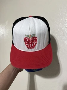 The North Face Herren Classic Sport Mesh Cap New York City SnapBack - Bild 1 von 4