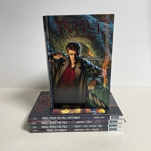 Angel After The Fall/Aftermath Vol. 1-5 Hardcover Graphic Novels 1 2 3 4 5 - Foto 1 di 11