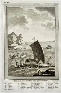 1756 Arten von peruanischen präkolumbianischen Flößen, Booten - Bild 1 von 2
