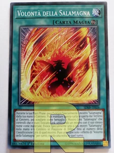 3x Volontà Della Salamagna ® Comune ® SDSB-IT026 ® Italiano ® Errecards - Picture 1 of 1