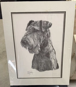 Airedale Terrier doppelt mattierter Druck signiert von MJ Sibley 16 x 20 - Bild 1 von 5