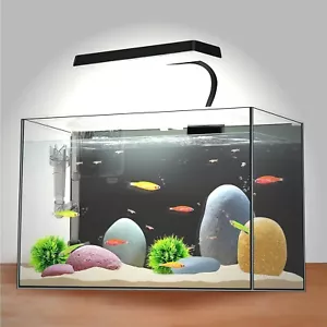 3 Gallon 12.6” L Fish Nano Glass Aquarium, with Separator Plate for Betta, Multi - Picture 1 of 9