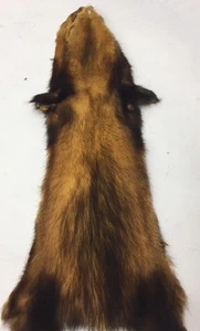 19" NEW YELLOW FITCH FUR SKIN TANNED HEAD PAWS PELT - Picture 1 of 3