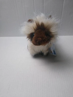 Ganz Webkinz Plush Himalayan Cat Kitten Stuffed Animal Unused Sealed Code  HM165 - Image 1 of 4