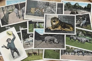 Lot of 18 Vintage 1922 WASHINGTON PARK ZOOLOGICAL GARDEN Milwaukee Postcards ZOO - Bild 1 von 12