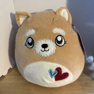 Squishmallows Chloeyana der Hund 8 Zoll Plüschtier - hellbrauner Hund, Herzen Q1 - Bild 1 von 5