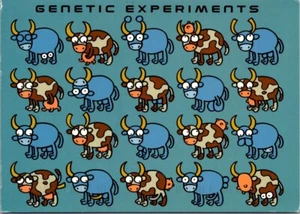 Comedy Postcard: Genetic Experiments Of Cows - Picture 1 of 2