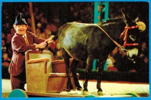 1975 Russian postcard CLOWN KARANDASH WITH DONKEY & Armchair CIRCUS ARENA - Picture 1 of 2