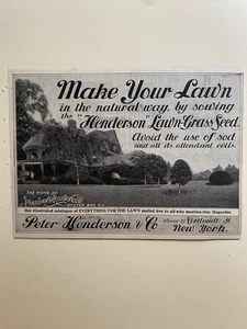 Anfang 1900 Sagamore Hill Präsident Theodore Roosevelt Anzeige  - Bild 1 von 1