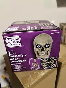 12 ft. Skeleton Skelly Eye Kit - Home Accents Holiday Halloween In Hand Eyes - Picture 1 of 3