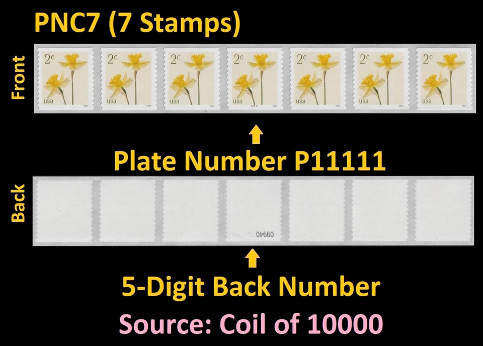 US 5903  Flowers Daffodils 2c #on# PNC7 B11111 5d back # MNH 2024 - Image 1 of 1