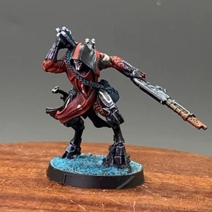 The Shro Infinity Presale Painted Miniature Scale Model Gallary Corvus Belli - Picture 1 of 3