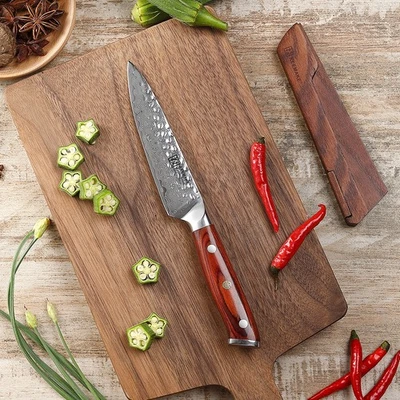 Profi 13cm Steakmesser AUS10 Damast Steakbesteck Küchenmesser Chefmesser HRC60+ - Bild 1 von 4