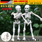 1/2stk 9cm Bewegliches Skelett menschliches Modell Totenkopf Minifigur Spielzeug
