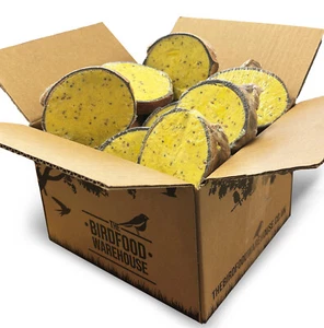 Premium Suet Filled Coconut Halves 15pk - High Energy Wild Bird Food, Feeder - Picture 1 of 6