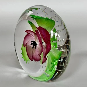 Caithness, Pink Anemone, Wildflowers Collection Limited Edition 15/100 Magnum - Bild 1 von 9