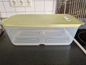 Klima-Oase / Gemüsebox von TUPPER - hoch - grün - 4,4 Ltr. - Bild 1 von 6