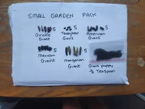 GIANT SUNFLOWERS SMALL GARDEN PACK UK SELLER - Picture 1 of 9