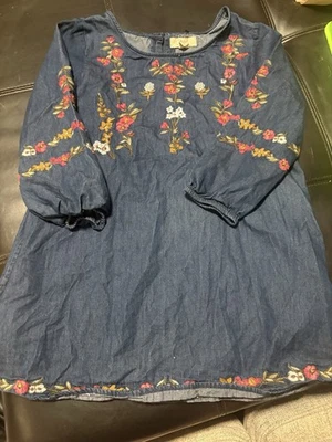 Nuevo sin etiquetas Vestido Peek Denim Bordado Avellana Niñas Grande 10 Foto 1 de 2