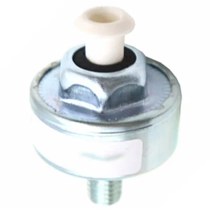 12589867 10456603 Knock Detonation Sensor Fit für BUICK RAINIER 5.3L V8 2004 - Picture 1 of 1