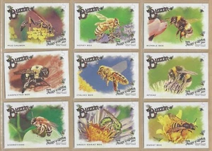 2024 Topps Allen & Ginter BUZZIN' (BUZ) Complete Set of (15) - Picture 1 of 3