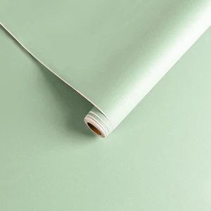 Carta Da Parati Verde Menta Cucina Lavabile Carta Adesiva Opaca per Mobili Pelli - Foto 1 di 12