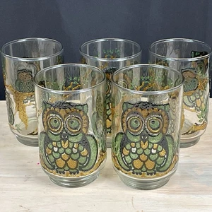 Set of 5 Vintage MCM Libbey Texture Stained Glass Owl Family Tree Drinking Glass - Picture 1 of 7