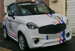 HERBIE KIT Choupette 53 CHATENET CH40 26 46 anpassbar für alle Fahrzeugtypen AIXAM  - Bild 1 von 30