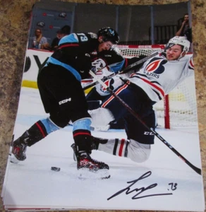 LUCA CAGNONI SIGNED 8X10 MATTE PHOTO PORTLAND WINTERHAWKS SAN JOSE SHARKS (D) - Picture 1 of 2